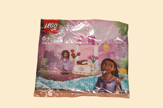 LEGO Disney 30661 Asha’s Welkomstkraampje – Wish